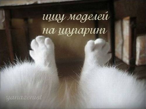  Шугаринг любая зона