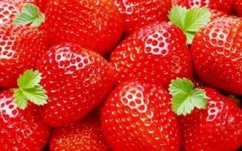 Рассада сортовой клубники