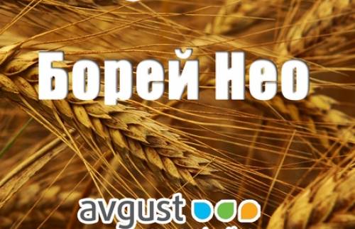 В Продаже инсектицид Борей Нео 